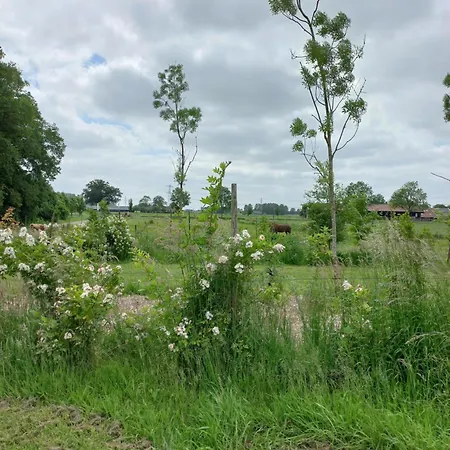 Yurt 't Steppenhuisje * Vierakker